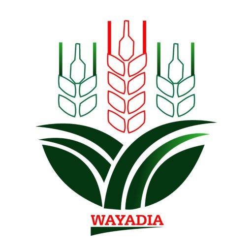 WAYADIA